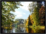 Rzeka, Kaczki, Park, Jesień