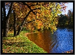 Rzeka, Kaczki, Park, Jesień