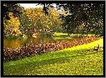 Rzeka, Mostek, Park, Jesień