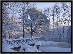 Rzeka, Mostek, Park, Zima
