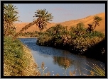 Rzeka, Palmy, Pustynia, Libia