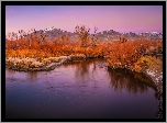 Góry, Jesień, Drzewa, Rośliny, Dolina Owens Valley, Rzeka, Owens River, Eastern Sierra, Kalifornia, Stany Zjednoczone
