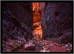 Skały, Kanion, Zion Narrows, Rzeka, Virgin River, Park Narodowy Zion, Stan Utah, Stany Zjednoczone