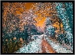 Rzeka, Drzewa, Ścieżka, Zachód, Słońca, Zima