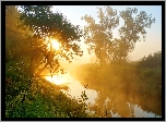 Rzeka, Mgła, Promienie, Słońca, Drzewa