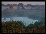 Rzeka, Jesień, Mgła, Drzewa, Trawa, Rośliny