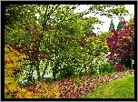 Rzeka, Ogród, Botaniczny, Vancouver, Jesień