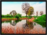 Rzeka, Trawy, Łąki, Drzewa, Wiosna, Anglia