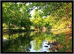 Wiosna, Rzeka, Drzewa