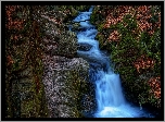 Wodospad, Resov Falls, Las, Skały, Rośliny, Brązowe, Liście, Czechy