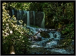 Wodospad Virginia Hawkins Falls, Las, Rzeka, Kamienie, Stan Karolina Północna, Stany Zjednoczone