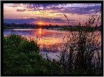 Rzeka, Trawy, Ścieżka, Lasy, Zachód, Słońca