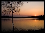 Rzeka, Drzewa, Zachód, Słońca