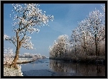 Rzeka, Drzewa, Zimowy, Widok
