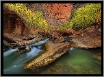 Rzeka, Skały, Drzewa, Zion, Utah