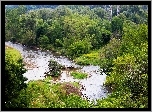 Zakole, Rzeki, Drzewa, Las, Park, Ontario, Kanada