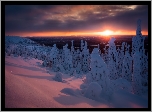 Wzgórze Sallatunturit, Finlandia, Zima, Drzewa, Zachód słońca