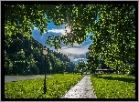 Chorwacja, Samobor, Park, Drzewa, Alejka, Latarnie, Promienie słońca