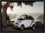 Samochód, Smart, Fortwo, Drzewo, Morze, Skały