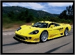 Samochód, Saleen S7, Droga