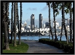 San Diego, Drapacze Chmur, Droga, Drzewa