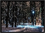 Rosja, Sankt, Petersburg,Park, Nocą, Alejka Latarnie