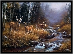 Sarenki, Jeleń, Las, Strumyk, Suche, Trawy