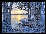 Finlandia, Region Etelä-Savo, Miasto Savonlinna, Jezioro, Zima, Ośnieżone, Drzewa, Wschód słońca