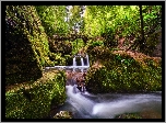 Las, Wodospad Schiessentumpel, Rzeka, Most, Skały, Drzewa, Mała Szwajcaria, Mullerthal, Luksemburg