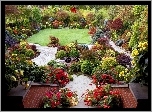 Schody, Kolorowy, Ogród, Kwiat