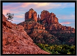 Stany Zjednoczone, Arizona, Sedona, Skały, Czerwone, Drzewa