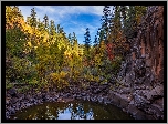 Stany Zjednoczone, Arizona, Sedona, Drzewa, Wąwóz, Skały