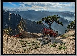 Chiny, Prowincja Shaanxi, Huayin, Góry, Mount Hua, Znaki, Sosna, Drzewa, Skały