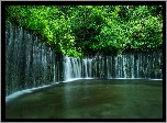 Japonia, Wodospad Shiraito Falls, Park Narodowy Fudżi Hakone Izu, Skały, Drzewa