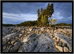 Jezioro Siegoziero, Skały, Kamienie, Drzewa, Karelia, Rosja