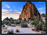 Stany Zjednoczone, Kalifornia, Park Narodowy Joshua Tree, Pustynia, Skała