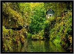 Roślinność, Drzewa, Skała, Dom, Rzeka Kamienica, Park Narodowy Czeska Szwajcaria, Czechy