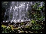 Wodospad, Skała, Roślinność, Paprocie