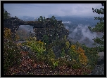 Góry Połabskie, Skała, Most skalny, Brama Pravcicka, Rośliny, Drzewa, Park Narodowy Czeska Szwajcaria, Czechy