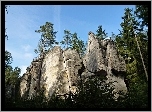 Skały, Drzewa, Adrspach, Czechy