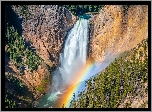 Skały, Górny, Wodospad, Upper Yellowstone River Falls, Rzeka Yellowstone, Park Narodowy Yellowstone, Drzewa, Tęcza, Stan Wyoming, Stany Zjednoczone