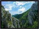 Góry, Skały, Lasy