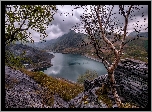 Walia, Park Narodowy Snowdonia, Góry, Jezioro Llyn Peris, Drzewa, Skały