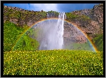 Wodospad, Seljalandsfoss, Trawa, Skały, Tęcza, Islandia