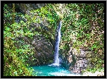 Skały, Wodospad, Mitaru Gongen Waterfall, Rzeka, Rośliny, Prefektura Kochi, Japonia
