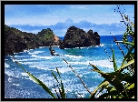 Morze, Skały, Roślinność, Przebijające, Światło, Piha, Beach
