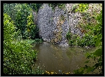 Skały, Jezioro, Rośliny