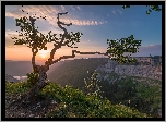 Skały, Atrakcja Creux du Van, Dolina Val de Travers, Kanton Neuchatel, Szwajcaria, Drzewo, Wschód słońca, Chmury