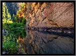 Skały, Rzeka, West Clear Creek, Krzewy, Odbicie, Arizona, Stany Zjednoczone