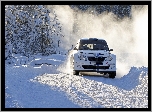 Skoda, Fabia, Góra, Las, Rajd, Zima